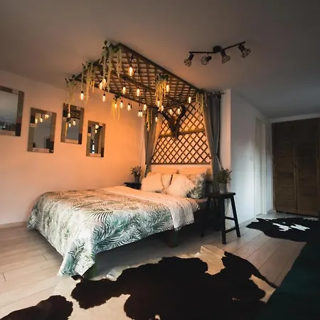 Hanul Anei And Transylvania Homestay *