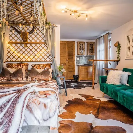 Hanul Anei Alloggio in famiglia Braşov