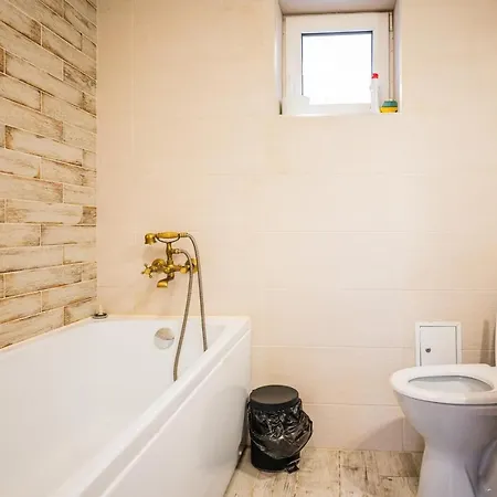 Gazde/Camere de închiriat Hanul Anei