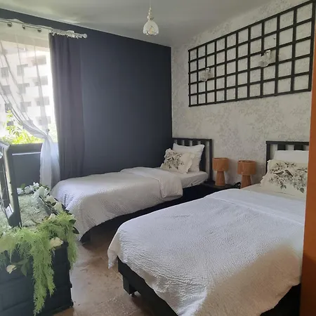 Homestay Hanul Anei And Transylvania Brasov