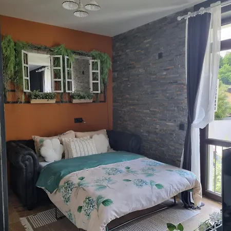 Hanul Anei And Transylvania Homestay