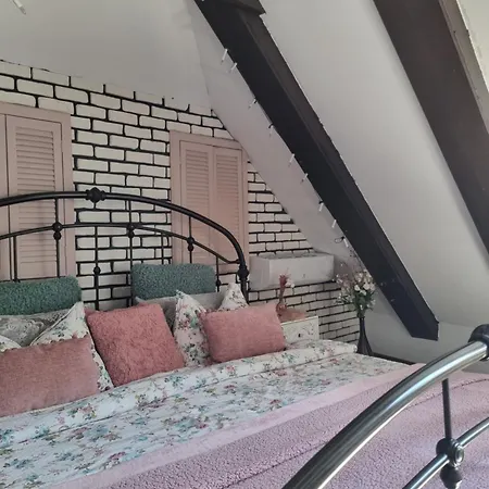 Homestay Hanul Anei And Transylvania