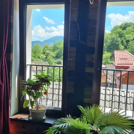 Homestay Hanul Anei And Transylvania
