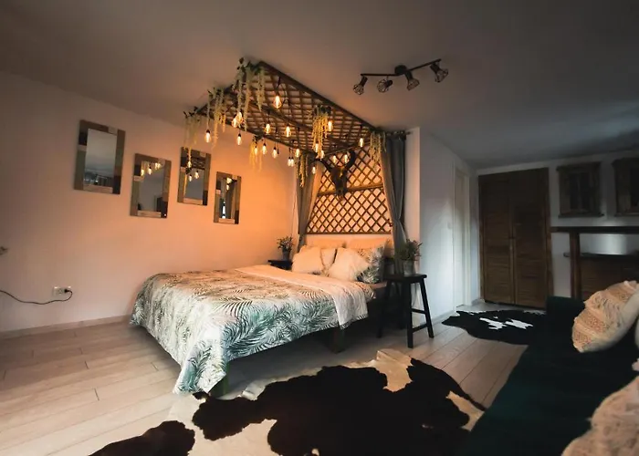 Hanul Anei And Transylvania Homestay *