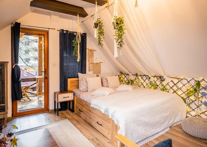 Hanul Anei And Transylvania 홈스테이 *