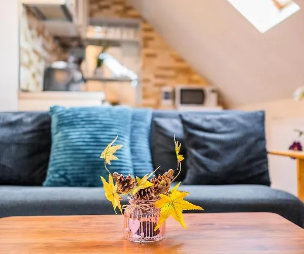 Hanul Anei And Transylvania 홈스테이 브라쇼브