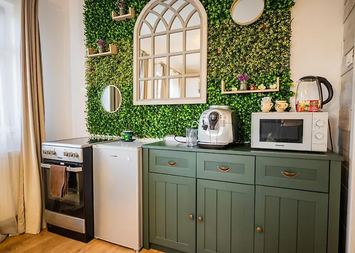 홈스테이 Hanul Anei And Transylvania 브라쇼브