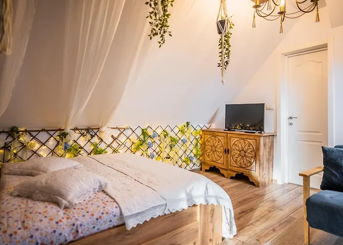 Hanul Anei And Transylvania Homestay *