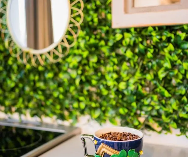 Hanul Anei And Transylvania * Braşov