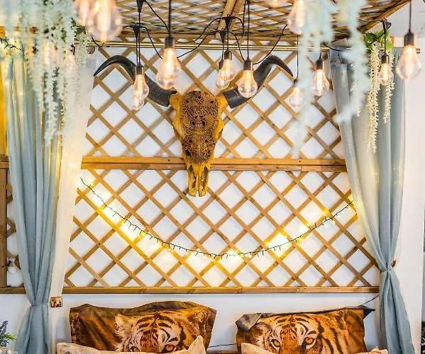 Hanul Anei And Transylvania Homestay