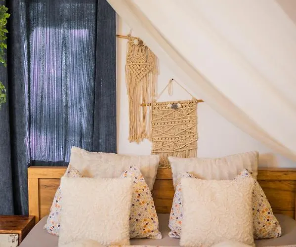 Hanul Anei And Transylvania Homestay *