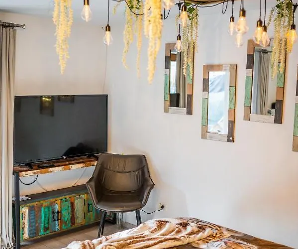 Hanul Anei And Transylvania Homestay