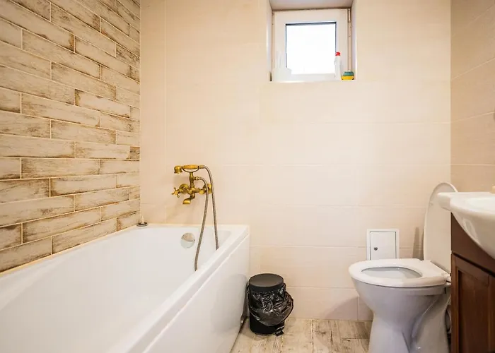 Homestay Hanul Anei And Transylvania