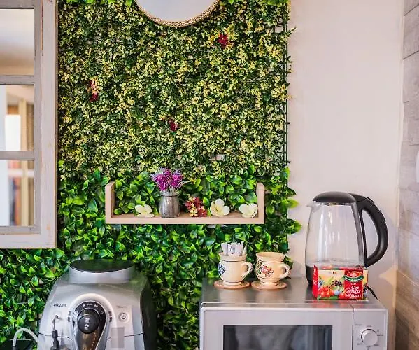 Hanul Anei And Transylvania Habitación en casa particular Braşov