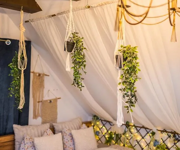 Hanul Anei And Transylvania Homestay