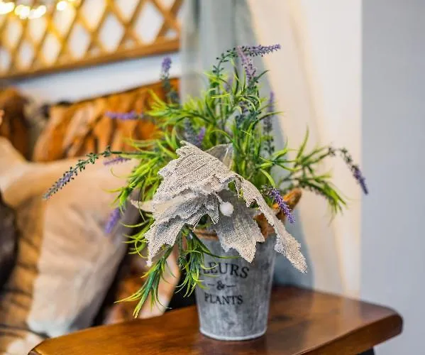 Hanul Anei And Transylvania *