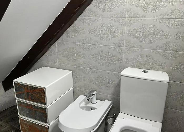 Homestay Hanul Anei And Transylvania