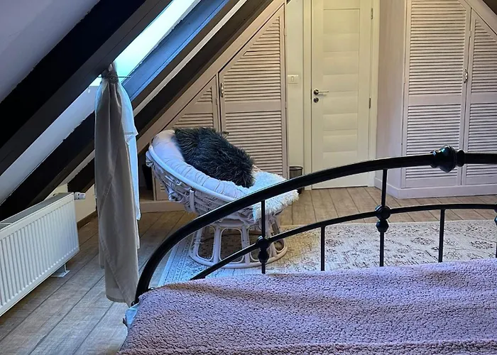 Hanul Anei And Transylvania Séjour chez l'habitant *