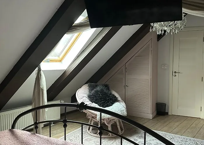 Hanul Anei And Transylvania Homestay